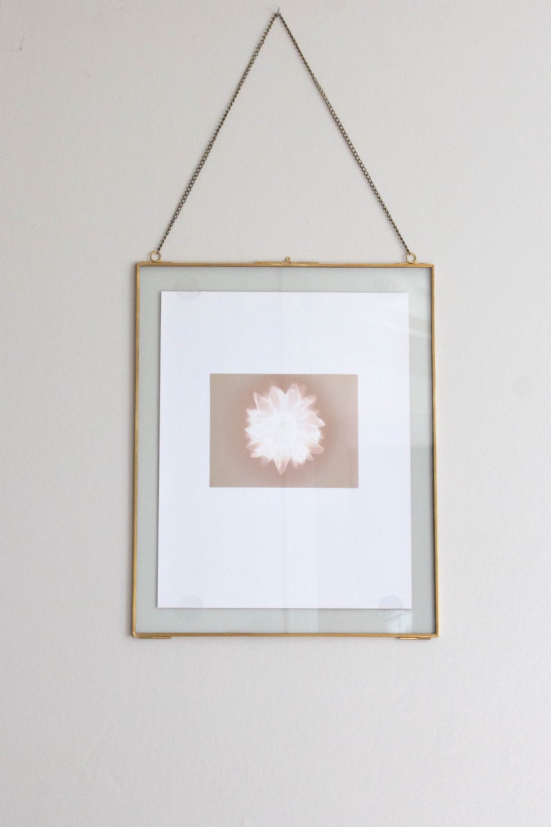 Handmade botanical wall art Flower lumen print One of kind