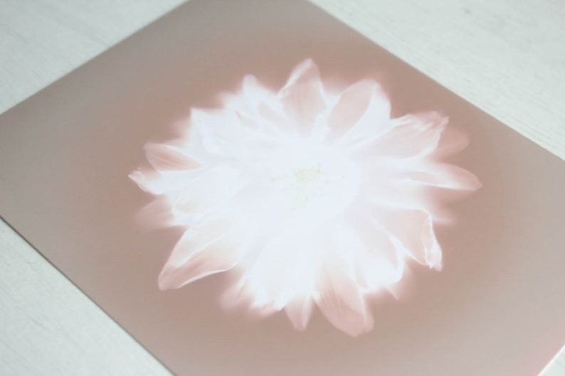 Handmade botanical wall art Flower lumen print One of kind