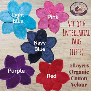 Organic Cotton Interlabial Pads (ILP's), set of 6.