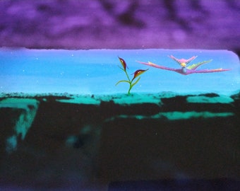 Dragon Bird - Colored Photo / Acrylic Painting