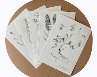 5 botanical postcards