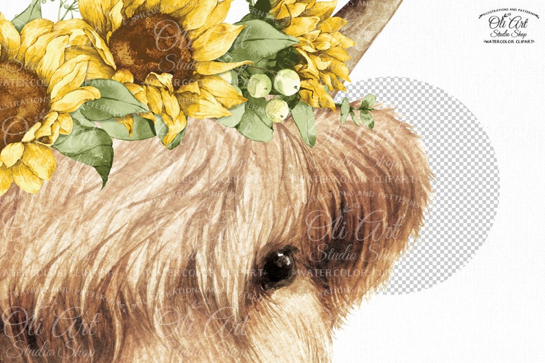 instant digital download farm animals Highland cow with sunflowers clipart PNG floral crown cow with flowers hand drawn graphics Heifer