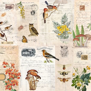 Fall Botanical Blocks, Decoupage Paper, Roycycled-High quality unique fall papers for crafting, hobbies, furniture, and DIY projects.