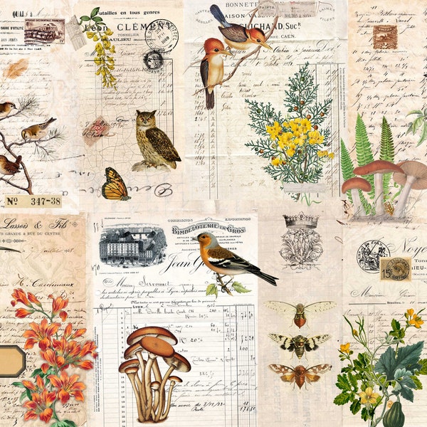 Fall Botanical Blocks, Decoupage Paper, Roycycled-High quality unique fall papers for crafting, hobbies, furniture, and DIY projects.