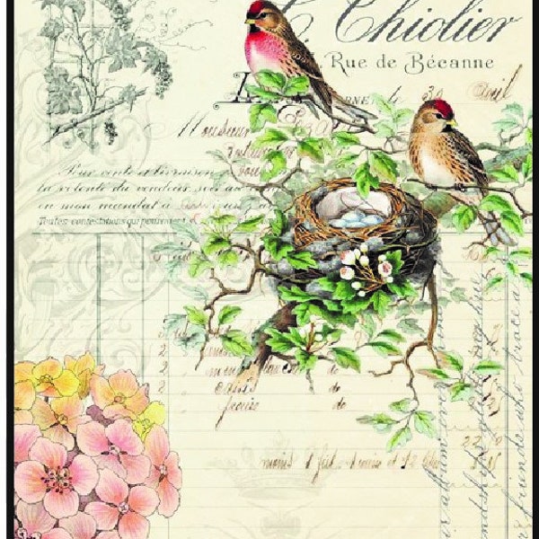 Bird Ephemera - Roycycled Treasures Decoupage Papier - Hochwertige einzigartige Papiere für Möbel, Basteln und andere DIY-Projekte.