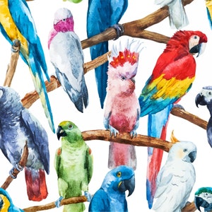 Decoupage Paper for craft, hobby & furniture projects.  Dixie Belle Bird Decoupage Paper - DIY crafting paper for large and small projects.