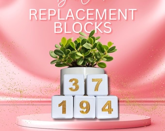 Reemplazo de contador de libros o bloques numerados adicionales / Accesorios para libros / Decoración de estanterías para ratones de biblioteca