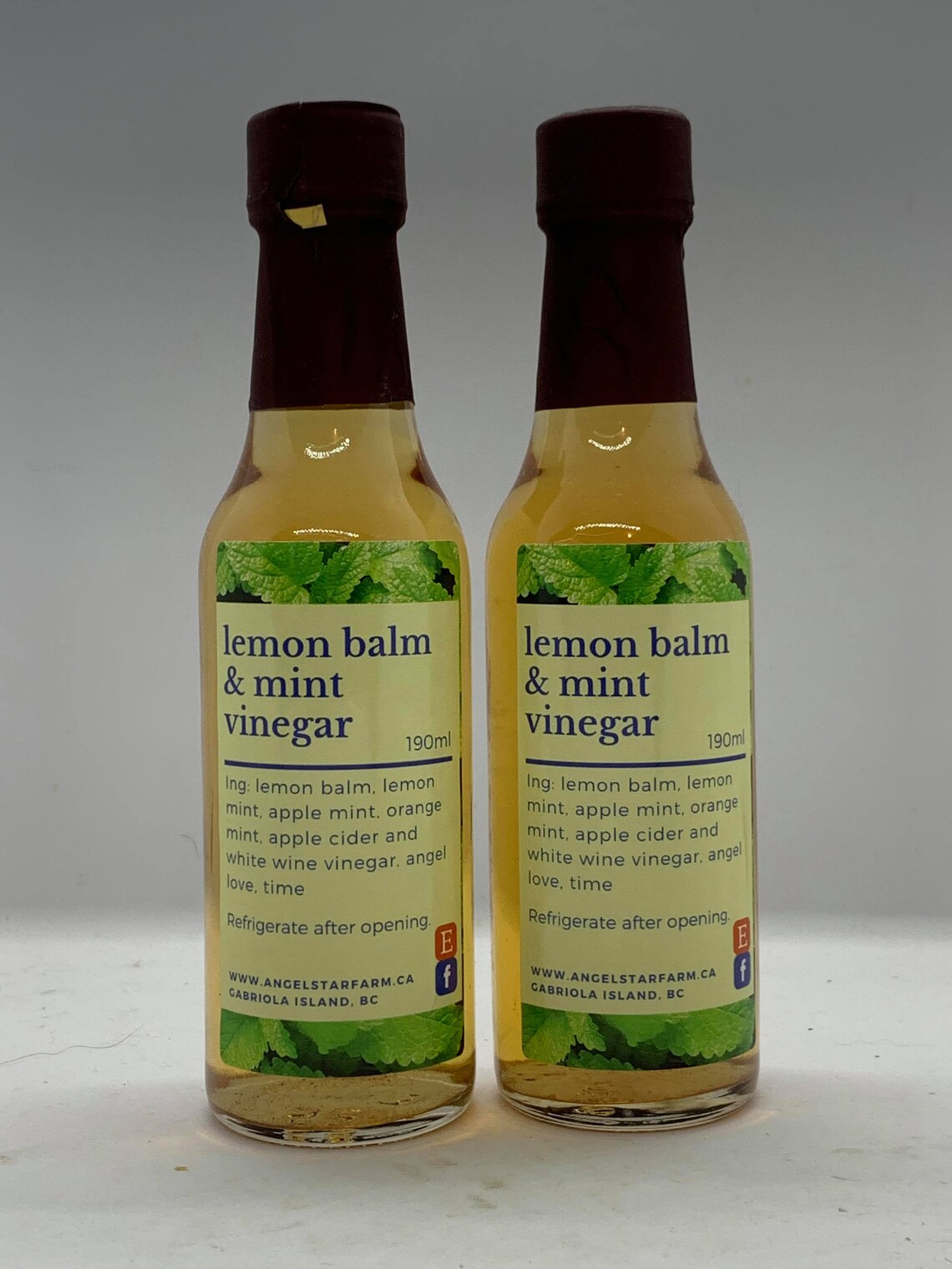 Lemon Balm Mint Vinegar Fruit & Herbal Vinegar Etsy