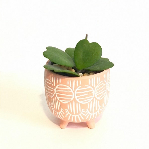 Pot rose Mid-Century