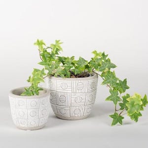 May include: Two grey and white patterned ceramic plant pots with green ivy. The pots have a geometric design. The ivy has green leaves and is trailing over the sides of the larger pot.