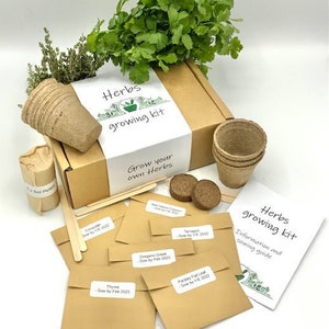 Kit de culture de graines d'herbes Cultivez votre propre kit de culture d'herbes