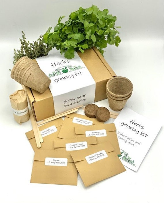 Herb Seed Growing Kit Grow Your Own Herbs Growing Kit Etsy
