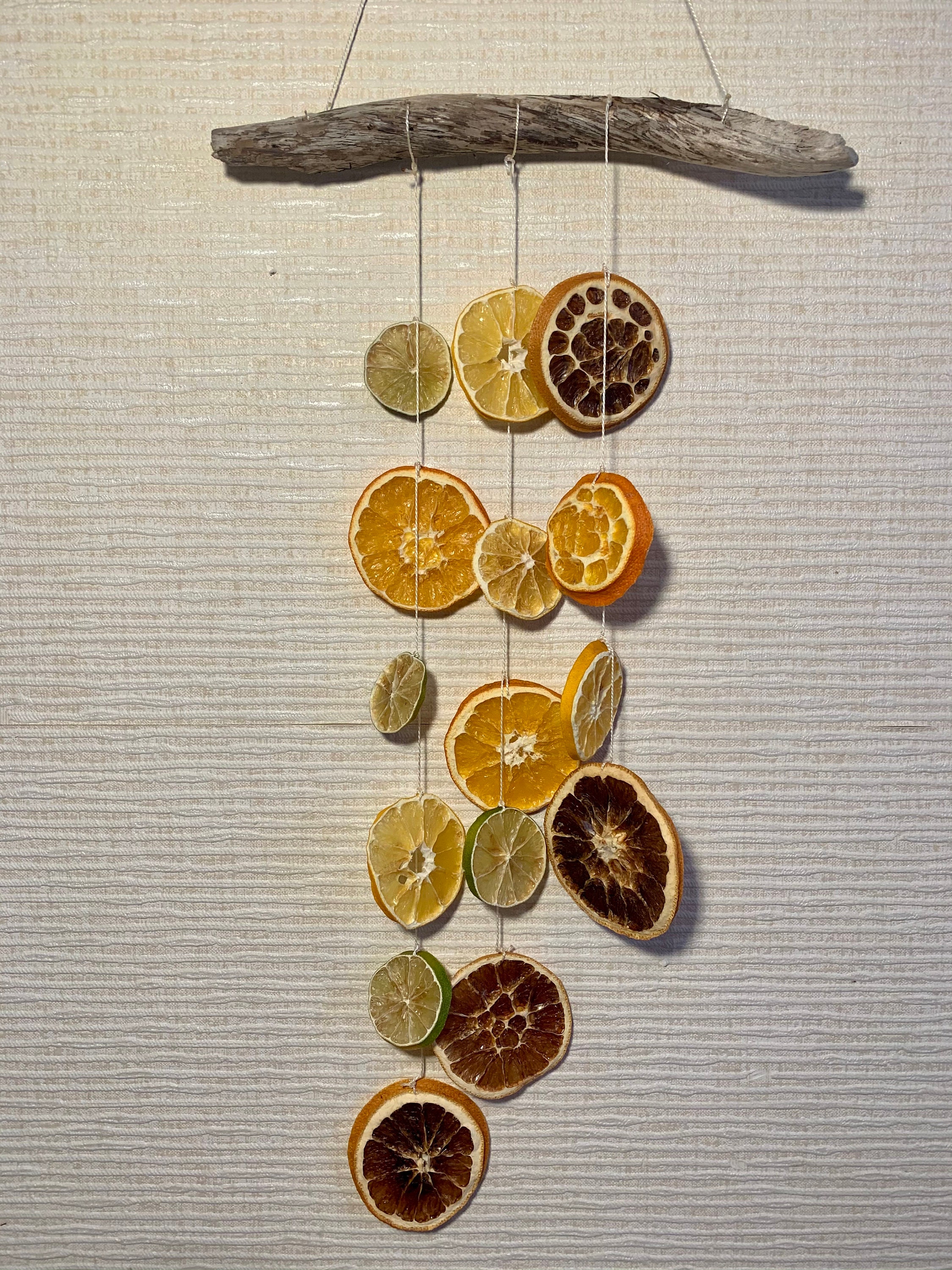 Citrus Fruit Wall Hanging/ Citrus Home Decor / Driftwood Wall Etsy