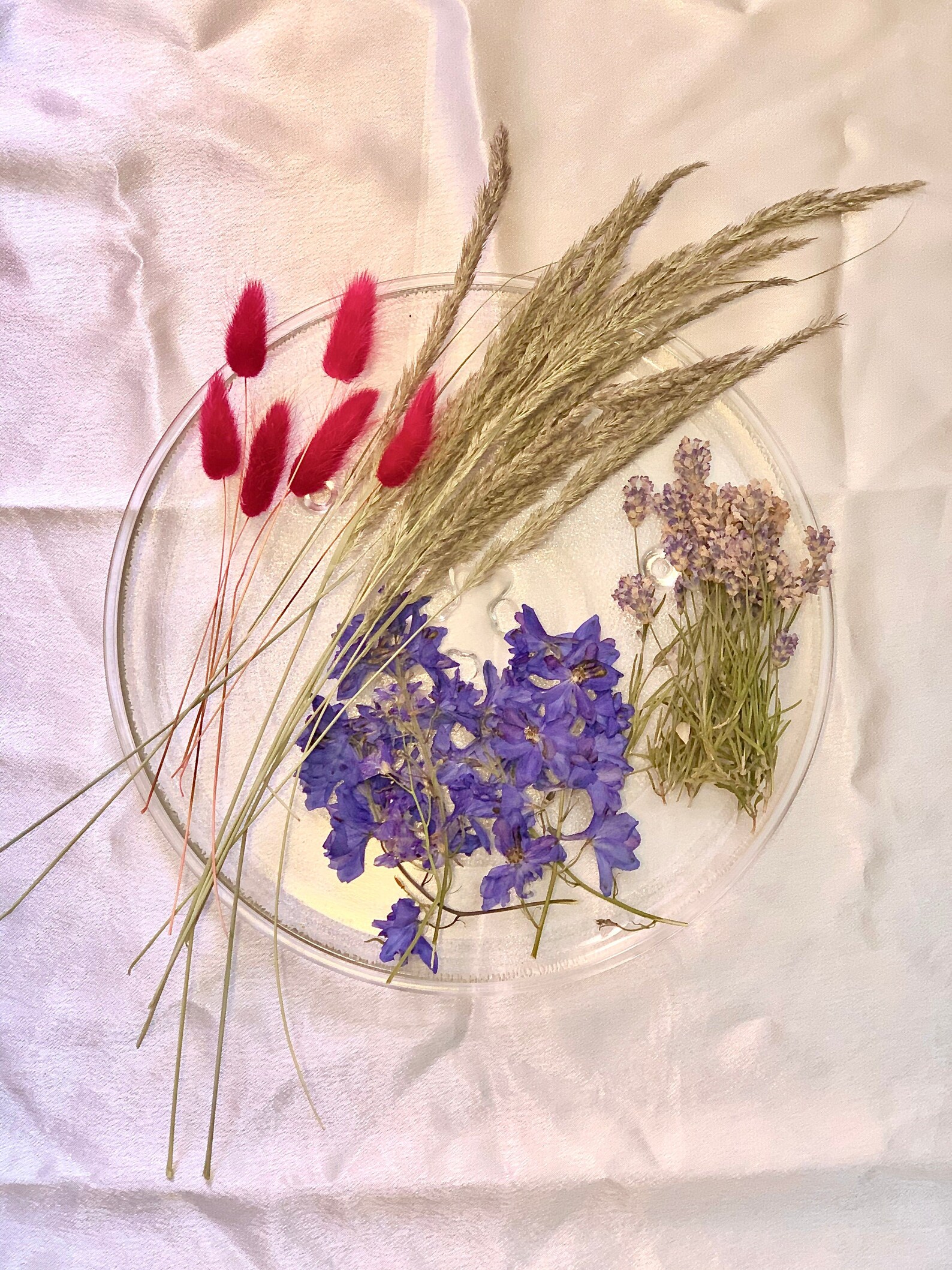 Dried Wild Flowers Botanical dry flower Natural pressed Etsy