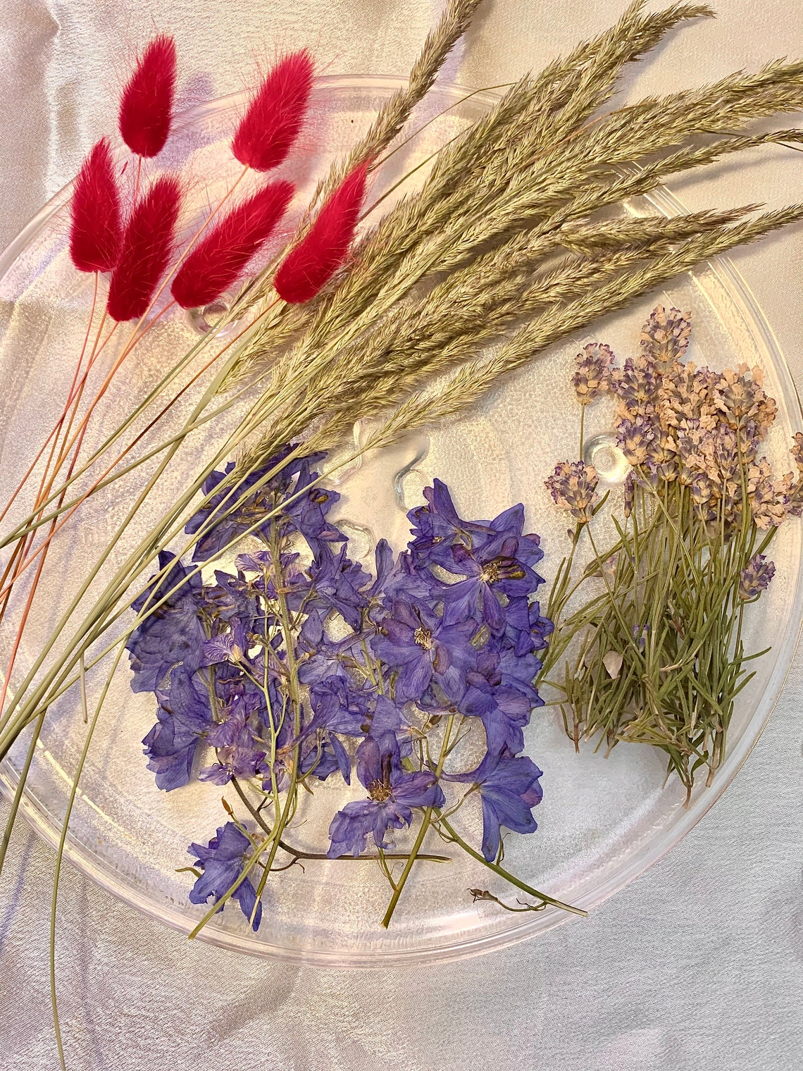 Dried Wild Flowers Botanical dry flower Natural pressed Etsy