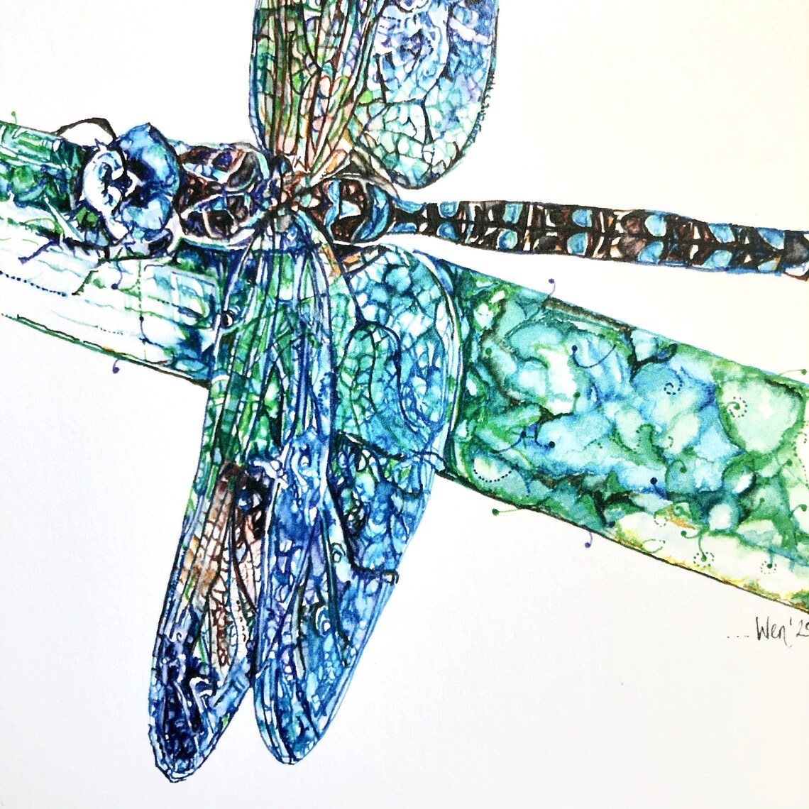 dragonfly-print-mounted-art-print-insect-print-dragonflies-etsy