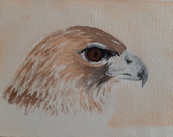 Bird of Prey Original Watercolor Painting