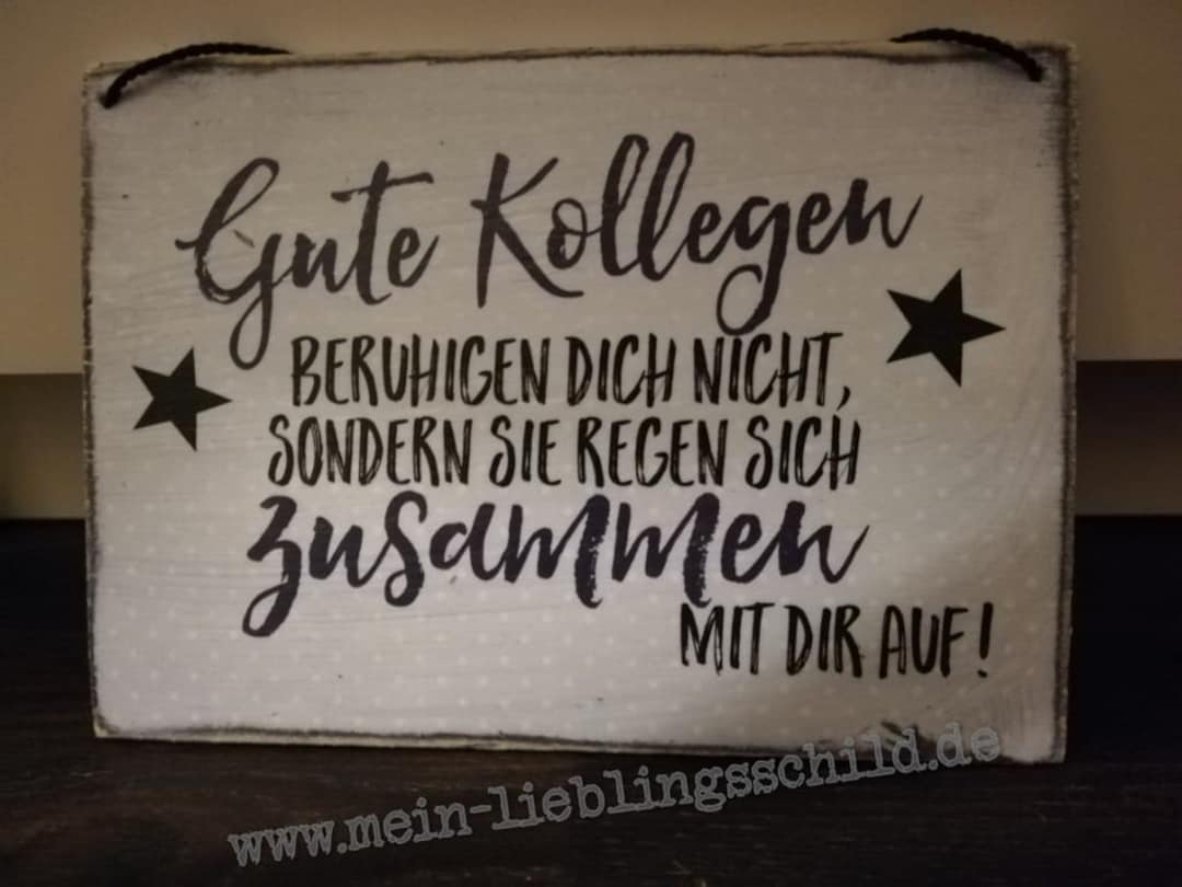 Holzschild Im Shabby Stil Gute Kollegen Beruhigen Dich Nicht Sondern