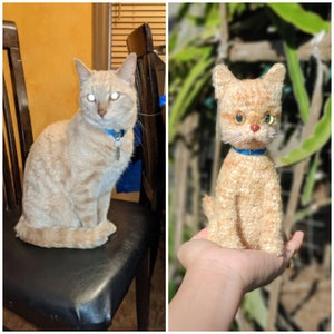 Custom Crochet Cat, Custom Stuffed Cat, Custom Cat Plush, Custom Stuffed Animal, Personalized Pet Gift, Pet Memorial, Pet Stuffed Animal image 5