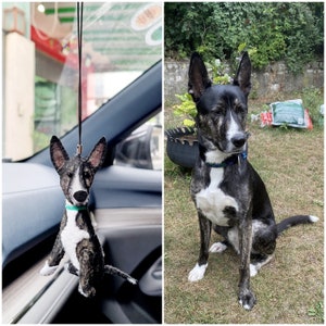May include: A black and white dog with a green collar is sitting in a car. The dog is a plush toy hanging from the rearview mirror.