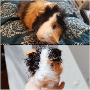 Custom Stuffed Animal, Custom Pet Plush, Custom Rabbit Plush, Custom Guinea Pig Plush, Custom Horse Plush, Pet Stuffed Animal