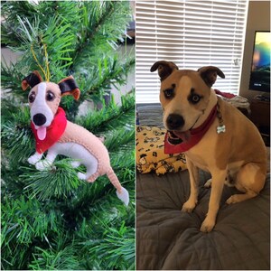 May include: A brown and white dog with a red bandana is sitting on a gray blanket. The dog is looking at the camera with its tongue sticking out. There is a Christmas tree in the background with a felt dog ornament hanging on it.
