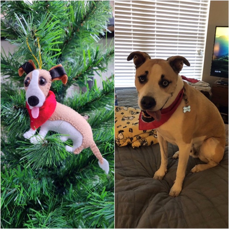 May include: A brown and white dog with a red bandana is sitting on a gray blanket. The dog is looking at the camera with its tongue sticking out. There is a Christmas tree in the background with a felt dog ornament hanging on it.
