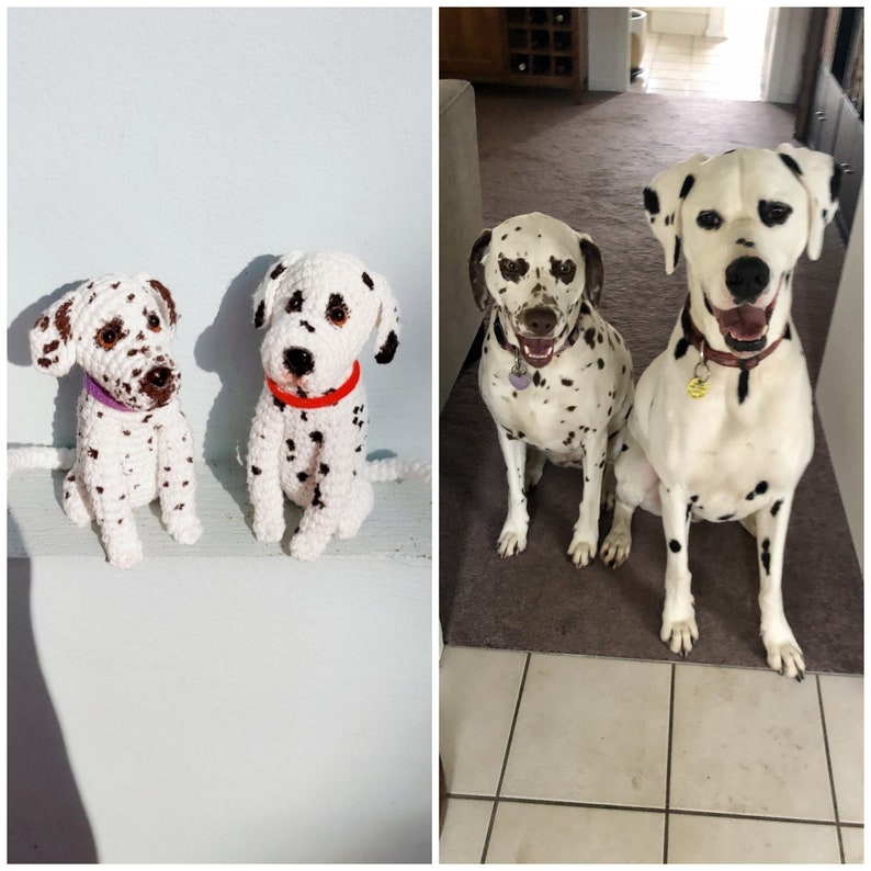 May include: Two crocheted Dalmatian dog plushies sitting on a shelf next to two real Dalmatian dogs sitting on a rug.