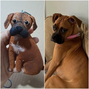 May include: A brown and white plush toy dog with big brown eyes. The toy is sitting on a hand.  Next to the toy is a real brown and white boxer dog sitting on a couch.