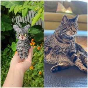 Custom Crochet Cat, Custom Stuffed Cat, Custom Cat Plush, Custom Stuffed Animal, Personalized Pet Gift, Pet Memorial, Pet Stuffed Animal image 4