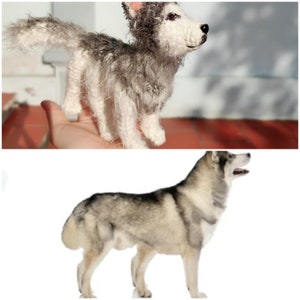 May include: A crocheted husky dog toy, with a white and gray fur pattern, is shown in the top image. The bottom image shows a real husky dog standing on a white background.