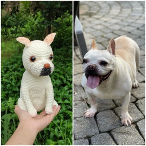 May include: A white crocheted stuffed dog sitting in a hand. A white French bulldog with brown eyes and a pink tongue is standing on a gray brick surface.