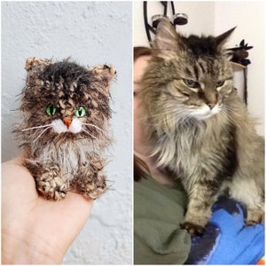 Custom Crochet Cat, Custom Stuffed Cat, Custom Cat Plush, Custom Stuffed Animal, Personalized Pet Gift, Pet Memorial, Pet Stuffed Animal image 5