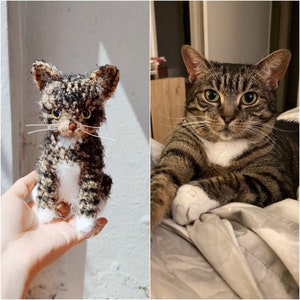 Custom Crochet Cat, Custom Stuffed Cat, Custom Cat Plush, Custom Stuffed Animal, Personalized Pet Gift, Pet Memorial, Pet Stuffed Animal image 3