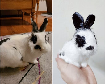 Custom Stuffed Animal, Custom Pet Plush, Custom Rabbit Plush, Custom Guinea Pig Plush, Custom Horse Plush, Pet Stuffed Animal