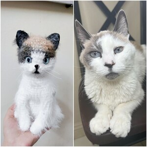 Custom Crochet Cat, Custom Stuffed Cat, Custom Cat Plush, Custom Stuffed Animal, Personalized Pet Gift, Pet Memorial, Pet Stuffed Animal image 7