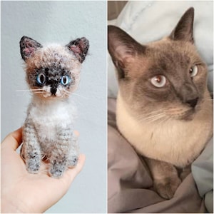 Custom Crochet Cat, Custom Stuffed Cat, Custom Cat Plush, Custom Stuffed Animal, Personalized Pet Gift, Pet Memorial, Pet Stuffed Animal image 4
