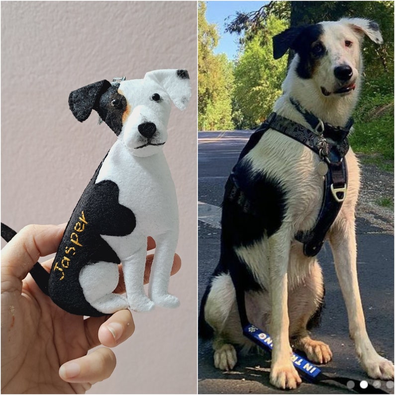 May include: A black and white plush dog toy with the name "Jasper" embroidered on the side. The toy is sitting in a person's hand. The image also shows a real black and white dog with a black harness.