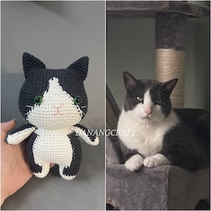 Peluche chat personnalisée, chat au crochet personnalisé, peluche chat, chat personnalisé, chat en peluche personnalisé, peluche chat