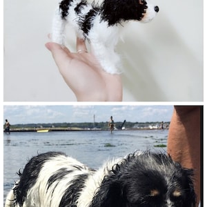 May include: A black and white Cavalier King Charles Spaniel dog toy. The toy is made of yarn and is about the size of a real dog. The toy is being held in a person's hand.