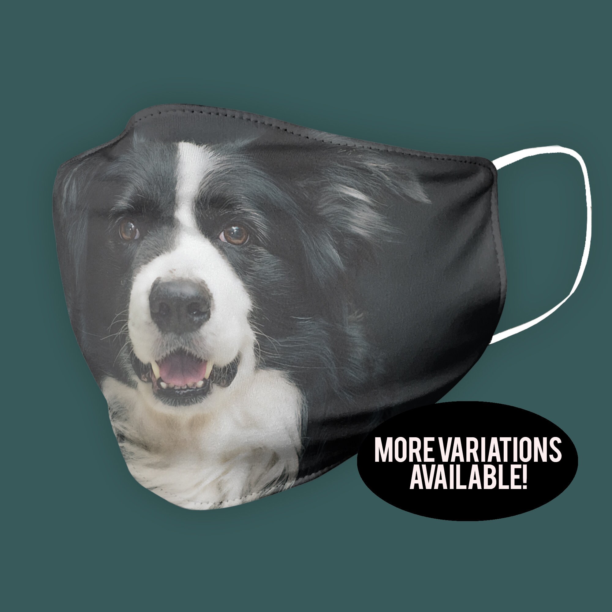 border collie accessories
