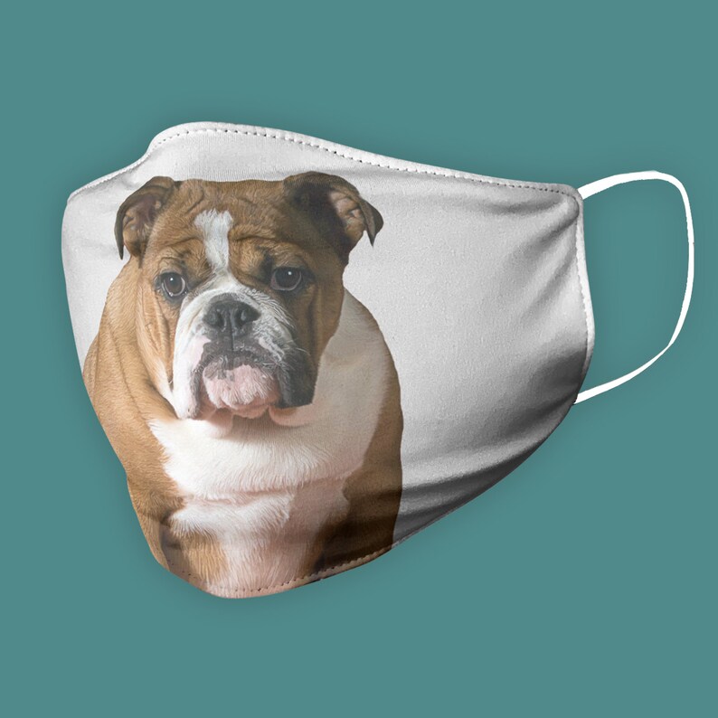English Bulldog Mask English Bulldog Face Mask Bulldog Mask | Etsy