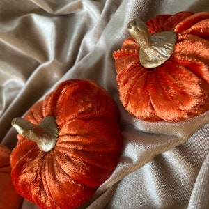 Plush vibrant orange Velvet Pumpkins handmade luxury Halloween autumn home decor with hand crafted gold painted clay stems in the UK image 4