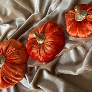 Plush vibrant orange Velvet Pumpkins handmade luxury Halloween autumn home decor with hand crafted gold painted clay stems in the UK image 6