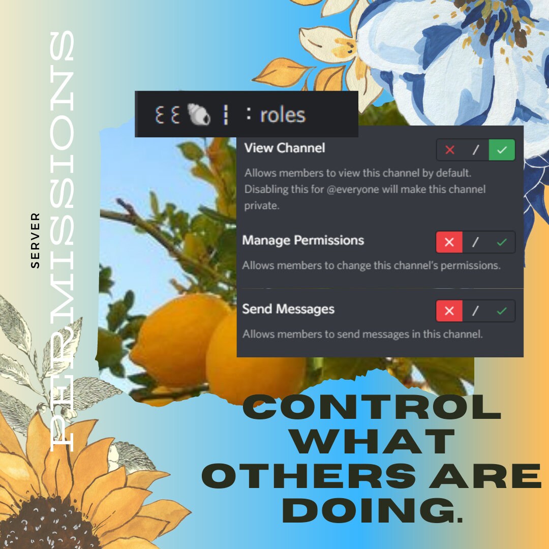 Discord SUMMER HANGOUT Server Template Etsy