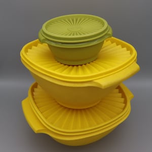 Tupperware 6 in lid -  México