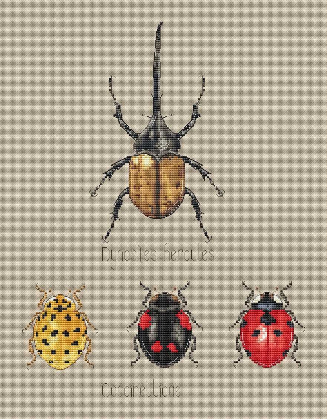 Beetles Cross Stitch Pdf Insects Cross Stitch Pattern Modern Etsy