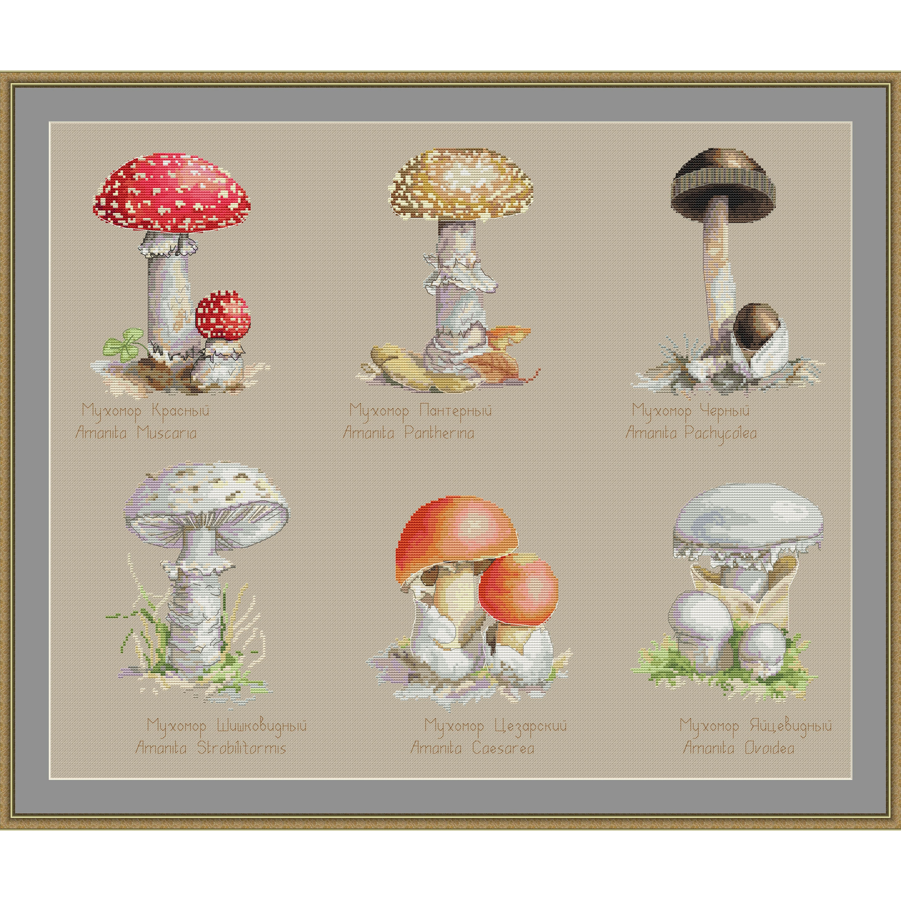 Louise Maelys Mushroom Embroidery Kits for Beginners with Art Night  Pattern,Adults Starter Cross Stitch Kit DIY Needlepoint Kits