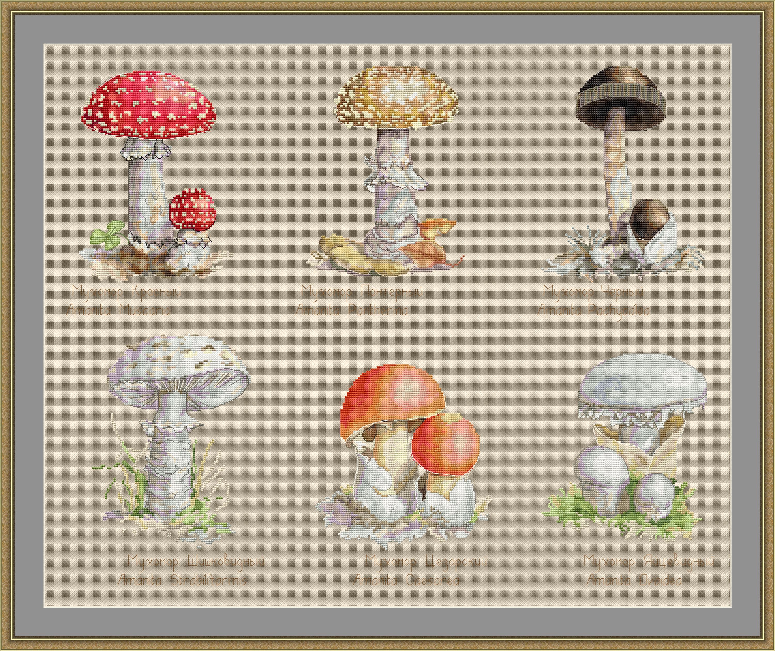 Amazon.com: Bosmere W134 Ceramic Enchanted Mushroom - Yellow
