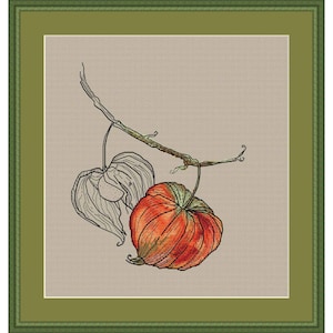 Könnte beinhalten: Kreuzstich-Illustration einer chinesischen Lampionblume. Das Kunstwerk zeigt eine detaillierte Darstellung einer leuchtend orangefarbenen Lampionfrucht und einer zarten, papierartigen Hülle, vor einem neutralen Hintergrund in einem grünen Rahmen. Der Stil ist botanisch.